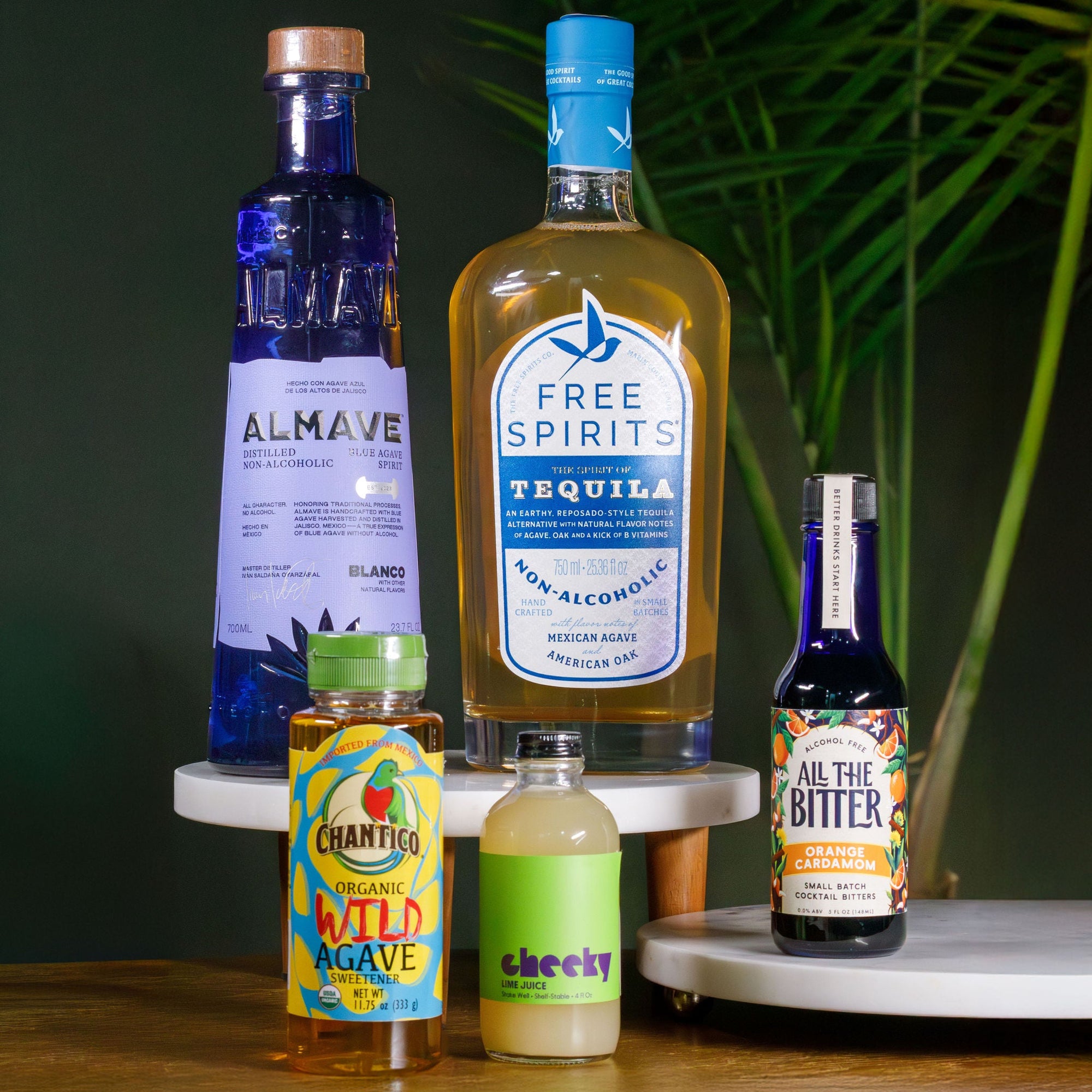 Agave Margarita Kit style=